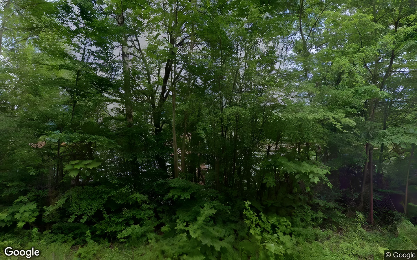 Tovární 296