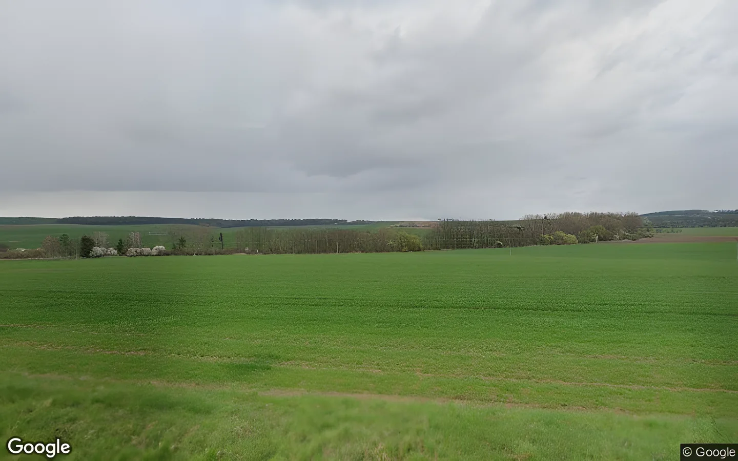 Dřínov - Srnov 158